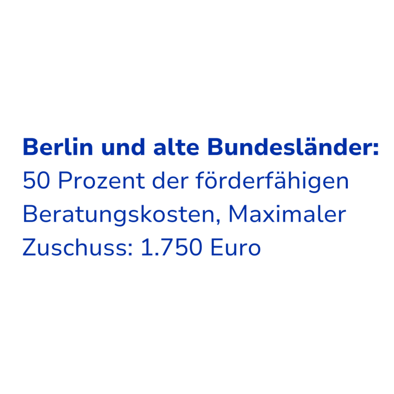 Text über Fördermöglichkeiten: 50 % der Beratungsförderung, maximal 1.750 Euro.