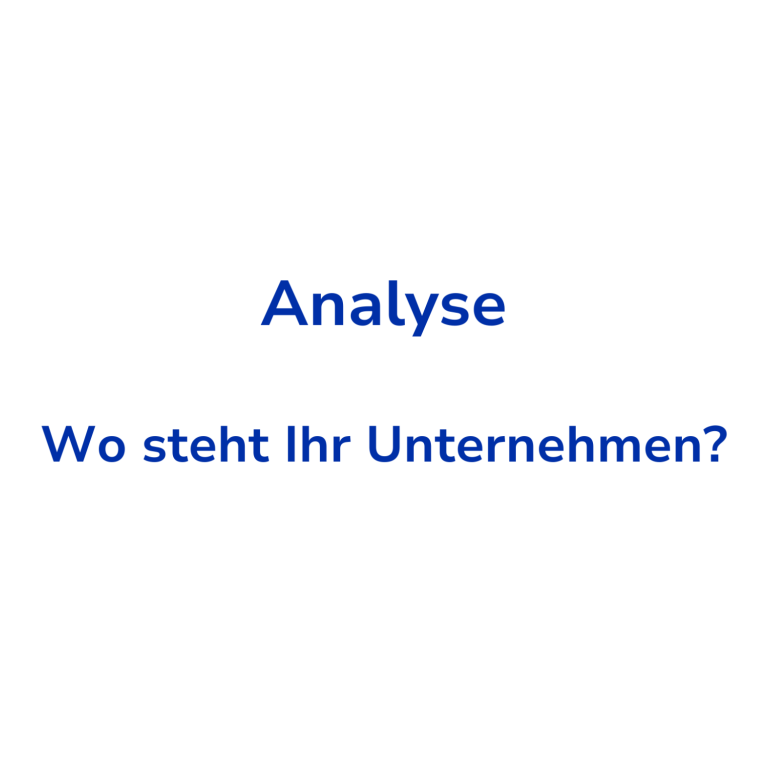 Text auf weißem Hintergrund: "Analyse - Wo steht Ihr Unternehmen?"