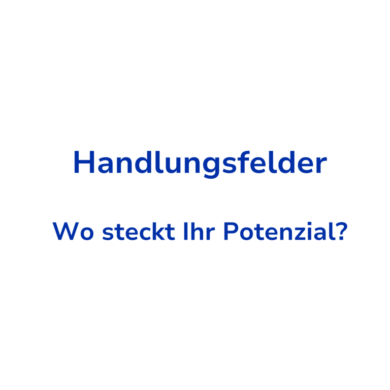 Text in blauer Schrift: "Handlungsfelder" und "Wo steckt Ihr Potenzial?"