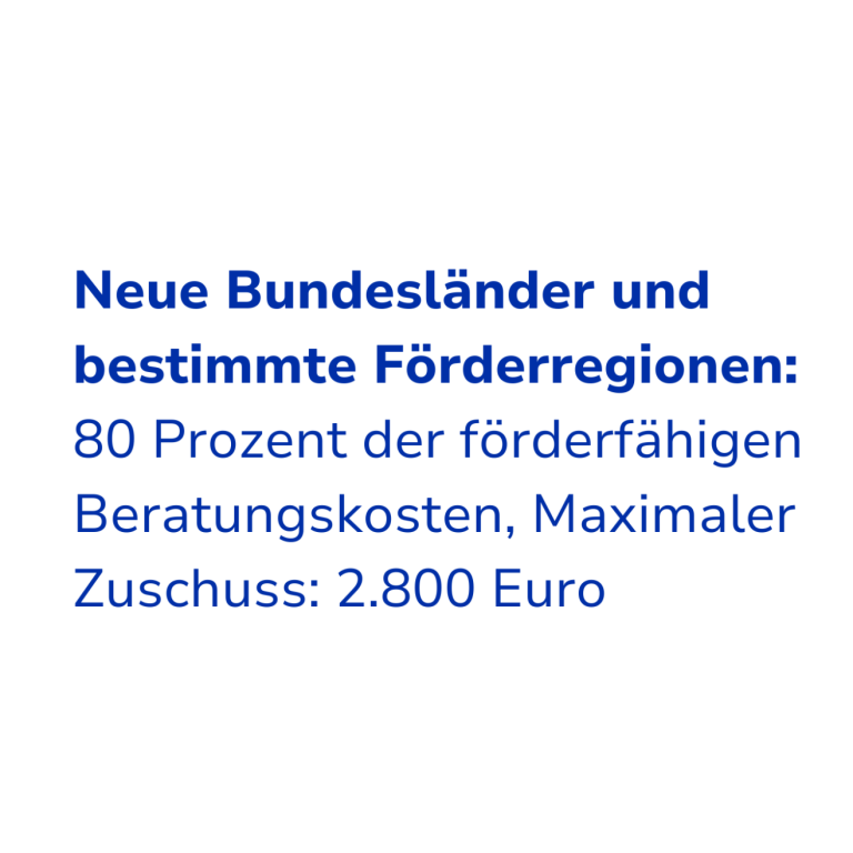 Text mit Informationen zu Förderungen für neue Bundesländer und Zuschüssen.